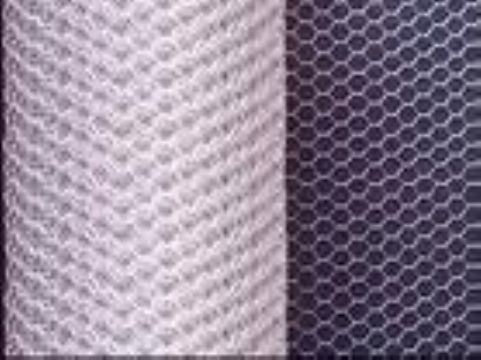 Galvanized Wire Mesh/Chicken Netting/Fence Netting 